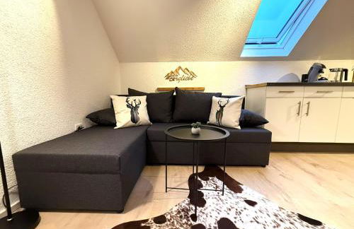 Natur-Apartment am Großen Arber Netflix WIFI - Foto 30