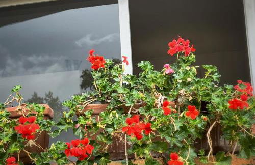 Apartament Sant Feliu de Guíxols downtown - Foto 11