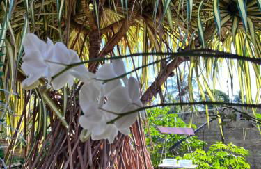 Recanto das Flores Suite Quádruplo - Photo 8