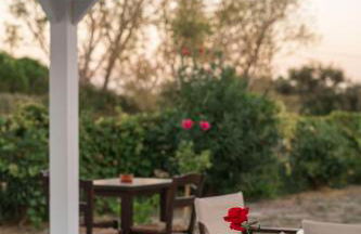 Naftilos Rosmarinus Apartments - Foto 30