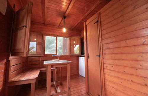 El jardín del Edén - Foto 10