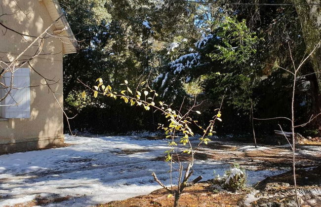 Chalet Ifrane - Foto 32