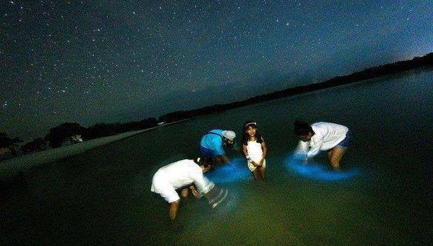 Un gruppo durante l'attività