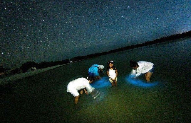 Bioluminescent Plankton Kayak Tour - Photo 5