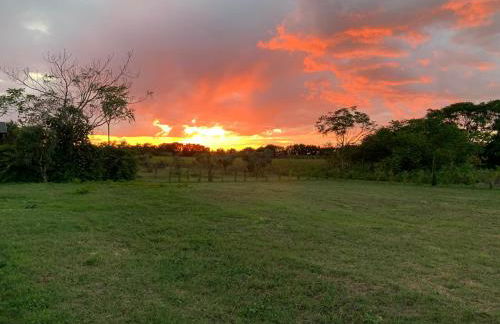 Podere Campo alle Serpi - Foto 52