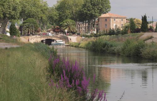 Gites de l'écluse - La Côte de l'Or - Foto 57