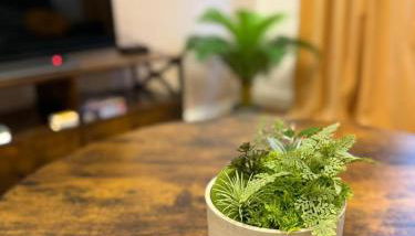 Eigentumswohnung in Dresden - Foto 4