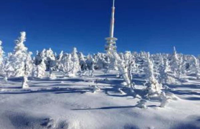 Wohnung in Wildemann Nahe Harzwald - Foto 19