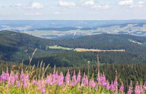 Villa Number 8 - Photo 20