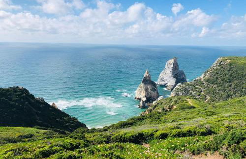 ribeira dos marinheiros vermelho - Foto 31