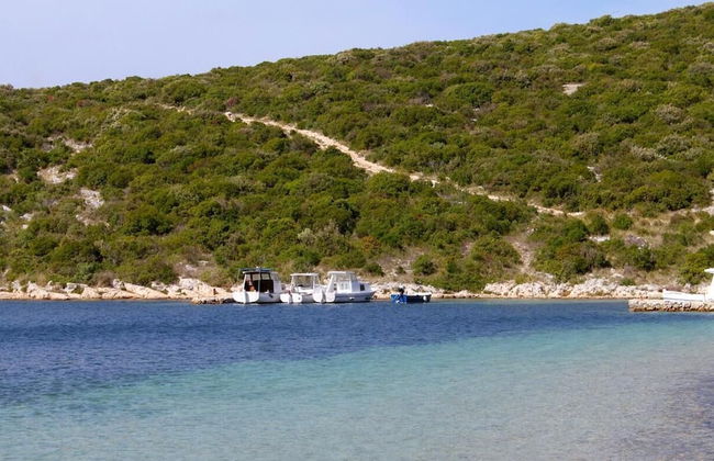 Peaceful 2-bedroom Robinson House Orca - Photo 18