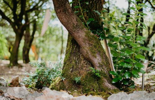 Domaine en Terre Happy - Foto 45