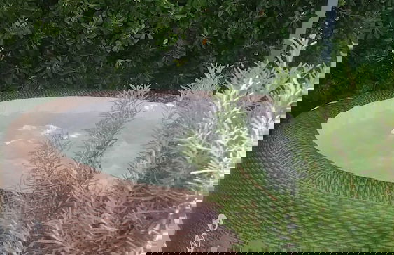 Villa Piano - Four Bedroom Villa With Terrace and Swimming Pool - Foto 40