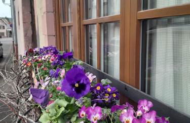 Escapade en Alsace - gîte de charme pour deux à Bergheim - Foto 16