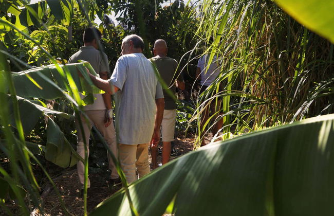 Aloe Vera Farm Tour - Foto 10