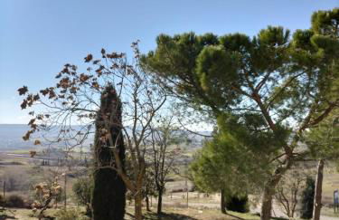 Puerta Laguna - Casa con parcela - Foto 30