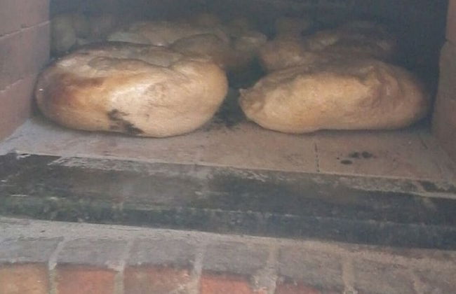 Sitio Libardo - Nova Trento - SC - Foto 11