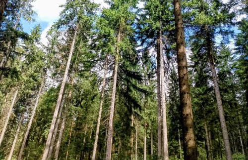 Nähe Plohn Park - FEWO mit Spielzimmer und Balkon sowie Doppelzimmer mit eigenem Bad - Foto 53