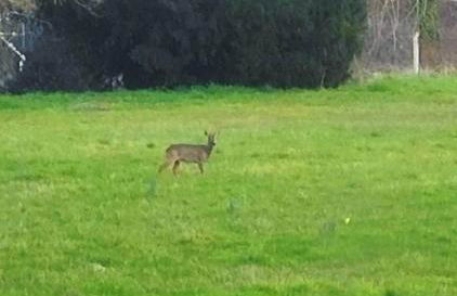 Atelier du chateau - Foto 27