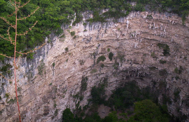 Sima de las Cotorras - Foto 6