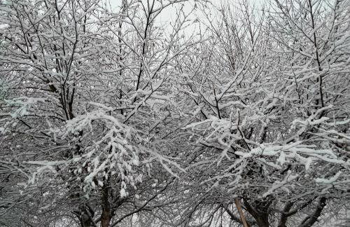 Casa da Emilia do Gerês - Foto 11