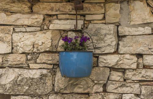 Village Miljavci - Photo 54