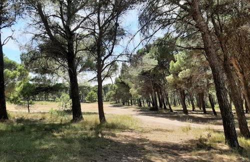 Casa Rural Garnacha de Borja has a Barbacue and Terrace - Foto 53