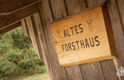 Altes Forsthaus im Harz - Foto 7