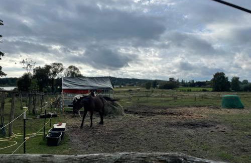 Ferienhaus Weise - Photo 23