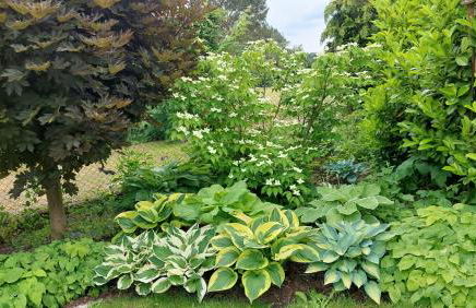 Ferienwohnung Lotte - Foto 57