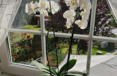 Blumen Apartment - Foto 29