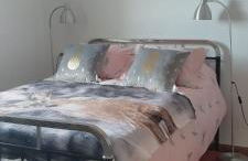 Cortijo Baul - Photo 5