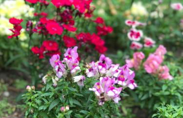 Condomínio Residencial Bugannvilias Flat - Foto 35