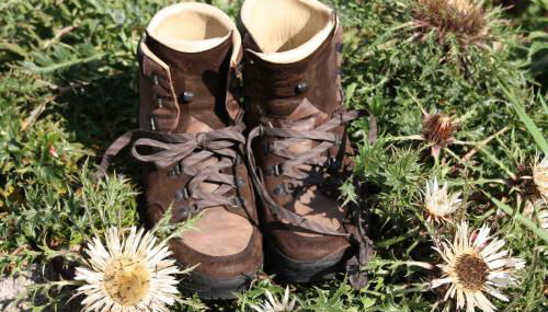 Bürschtehanse-Hof - Foto 4