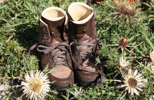 Bürschtehanse-Hof - Foto 4