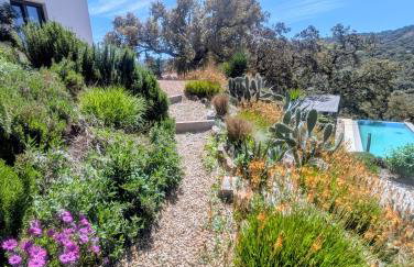 Finca Bravo - Foto 10