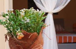 Apartment Inn - Foto 38