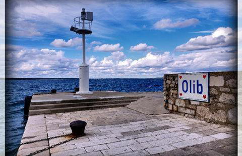 Rose house - Foto 35