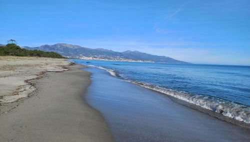 les pivoines - Foto 2