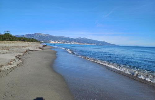 les pivoines - Foto 2