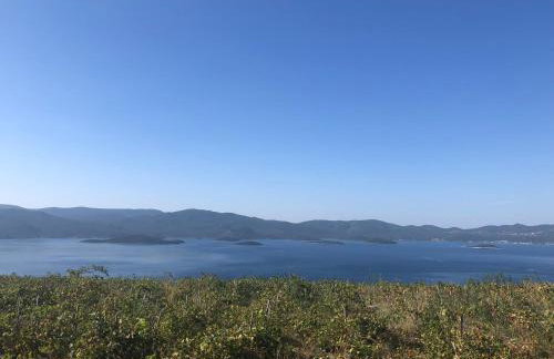 Fig Tree Apartment - Foto 37