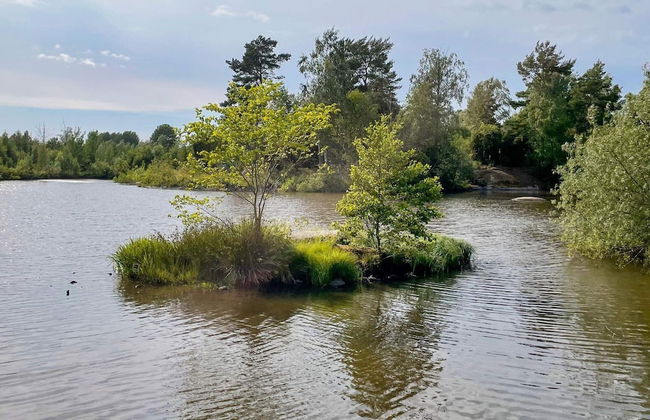 11 Person Holiday Home in Odeshog-by Traum - Foto 24