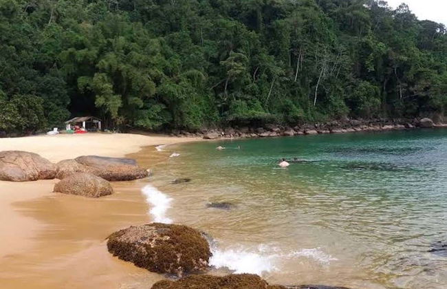 Snorkeling in Ubatuba - Photo 5