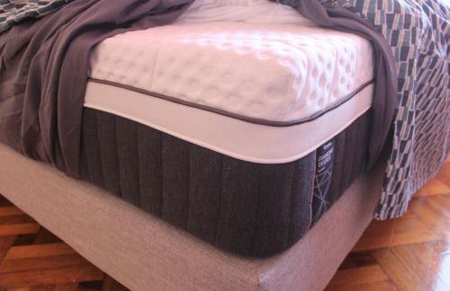 LE REX Nice - Foto 53