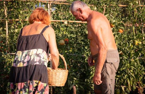 Agriturismo San Carlo - Foto 12