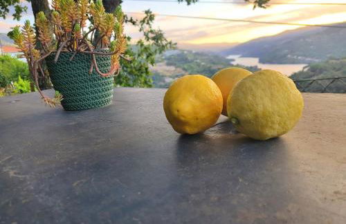 Douro Mesio Guest House - Foto 8