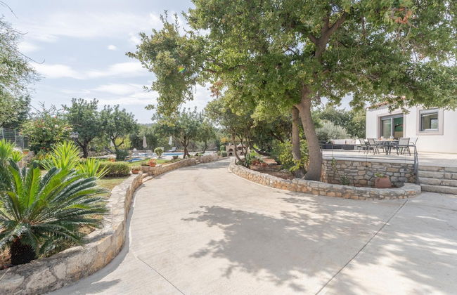 Villa Archodia - With Private Pool - Photo 41