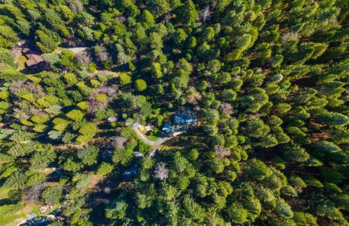 Saltwater Hot Tub, Forest Retreat, Minutes to Town - Foto 7