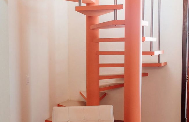 Recanto Lago Negro - Rancho Queimado - Foto 49