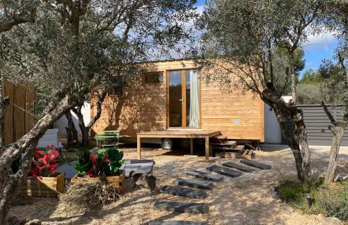 La Tiny House des Oliviers et son jacuzzi - Foto 19
